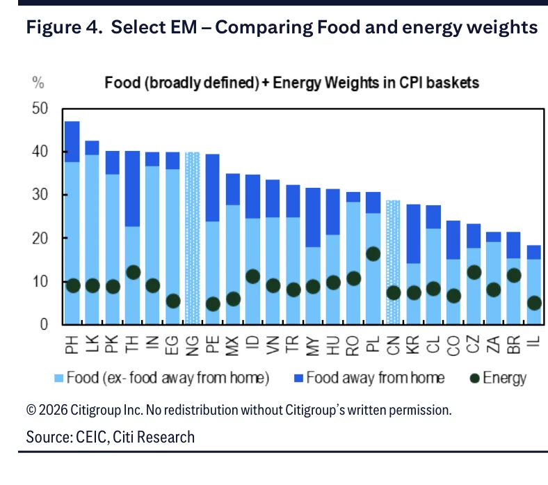 Figure 4：部分新兴市场食品与能源权重对比