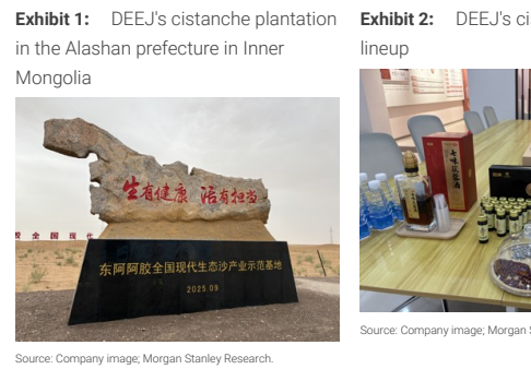 图1. 东阿阿胶的肉苁蓉种植基地