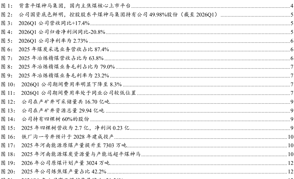图1. 背靠平煤神马集团国内主焦煤核心上市平台