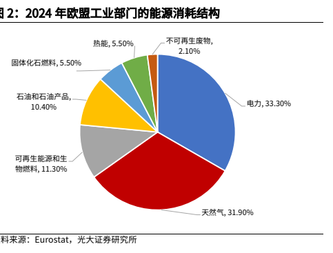 **图2. 2024年欧盟工业部门的能源消耗结构**