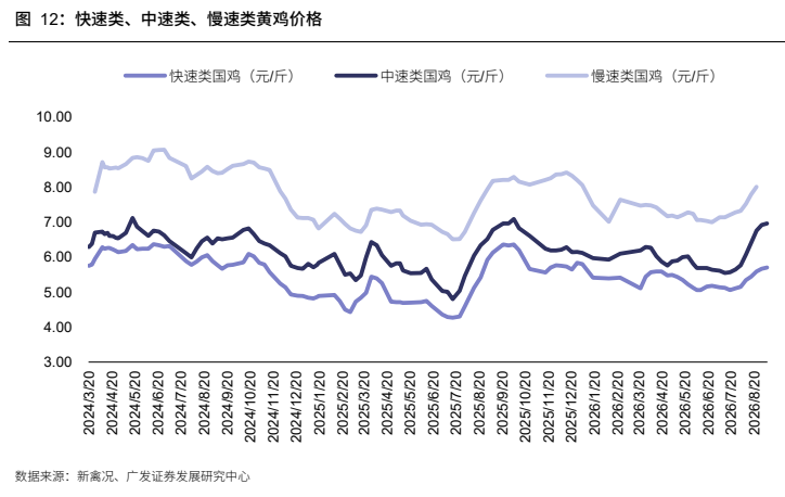 **图3. 快速类、中速类、慢速类黄鸡价格**