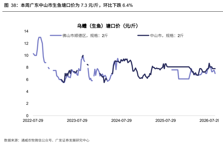 **图8. 本周广东中山市生鱼塘口价为 7.3 元/斤，环比下跌 6.4%**