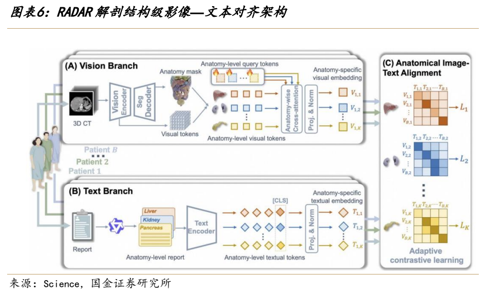 **图2. 图表 6: RADAR 解剖结构级影像—文本对齐架构**