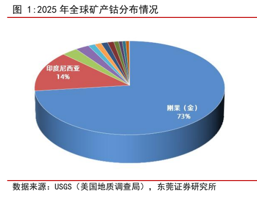 **图1. 2025 年全球矿产钴分布情况**