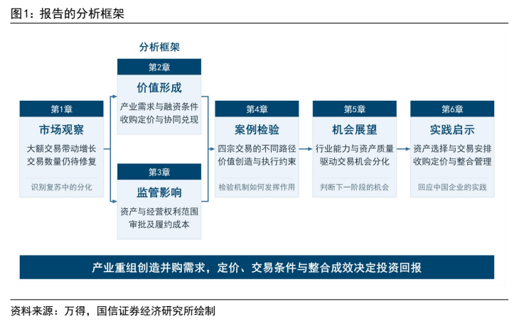 **图1. 报告的分析框架**