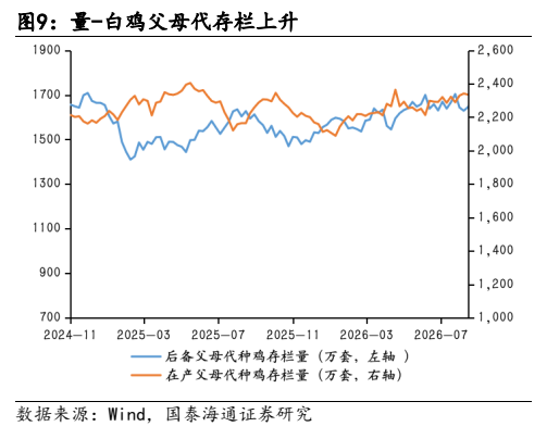 **图4. 量-白鸡父母代存栏上升**
