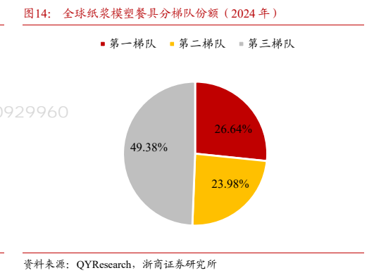 **图8. 全球纸浆模塑餐具分梯队份额（2024 年）**