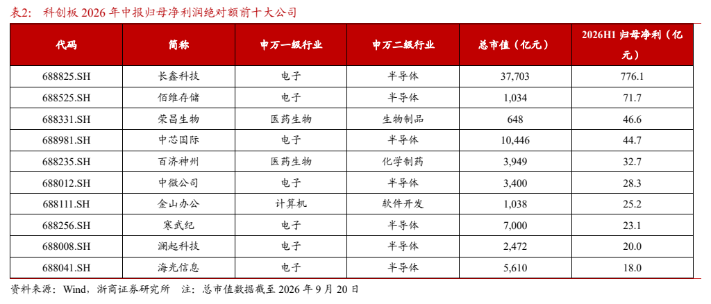**图10. 表 2: 科创板 2026 年中报归母净利润绝对额前十大公司**