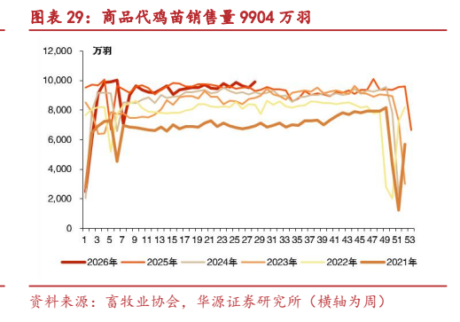 **图9. 图表 29: 商品代鸡苗销售量 9904 万羽**