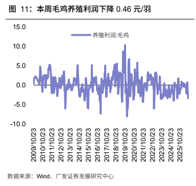 **图4. 本周毛鸡养殖利润下降 0.46 元/羽**