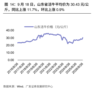 **图5. 9 月 18 日,山东省活牛平均价为 30.43 元/公**