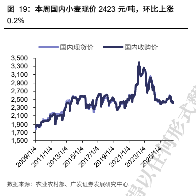 **图7. 本周国内小麦现价 2423 元/吨,环比上涨**