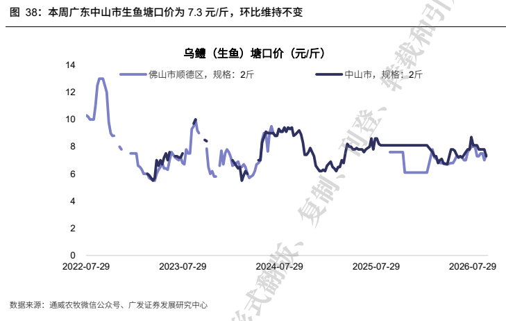 **图12. 本周广东中山市生鱼塘口价为 7.3 元/斤,环比维持不变**
