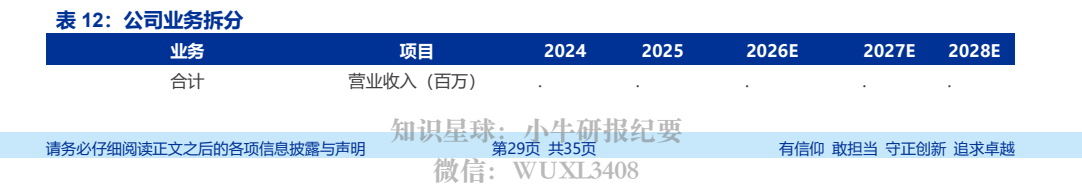 **图11. 表 12: 公司业务拆分**