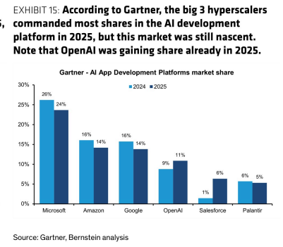 **图12. 据Gartner，2025年三大超大规模云厂商在AI开发平台市场占据大部分份额，但该市场仍处于起步阶段**