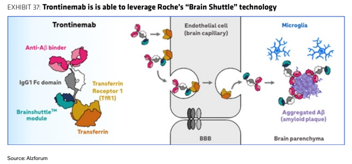 **图7. Trontinemab能够利用罗氏的“脑穿梭”（Brain Shuttle）技术**