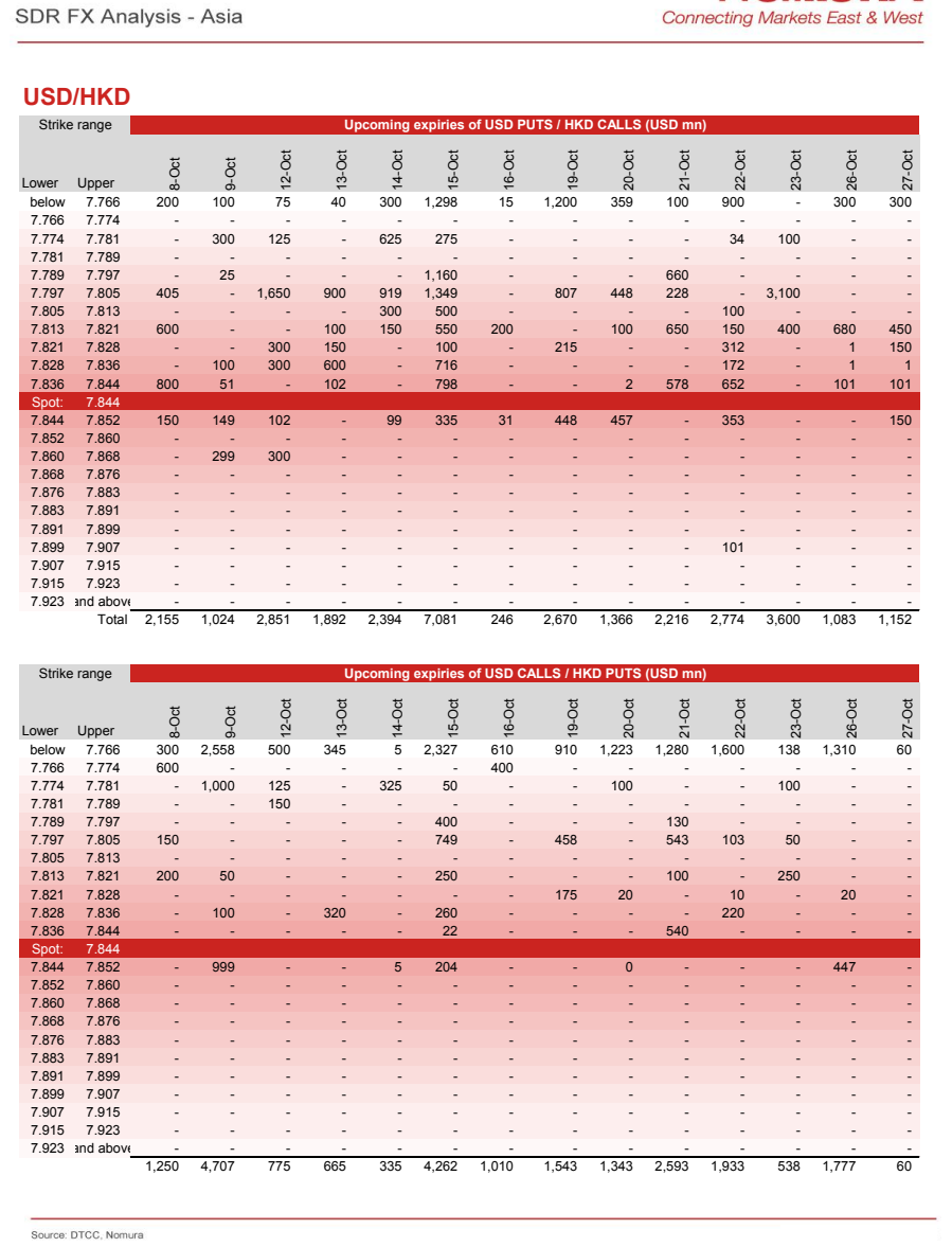 **图6. SDR外汇分析——亚洲连接东西方市场**