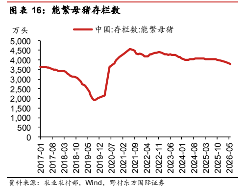**图12. 表 16: 能繁母猪存栏数**