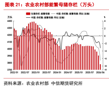**图6. 图表 21: 农业农村部能繁母猪存栏（万头）**